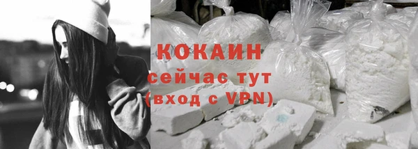 первитин Богданович
