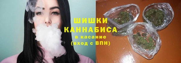 mix Богородск