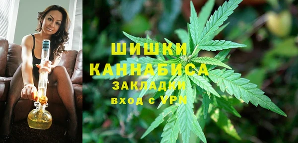mix Богородск
