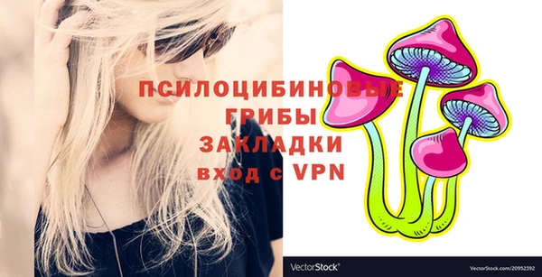 дурь Рославль