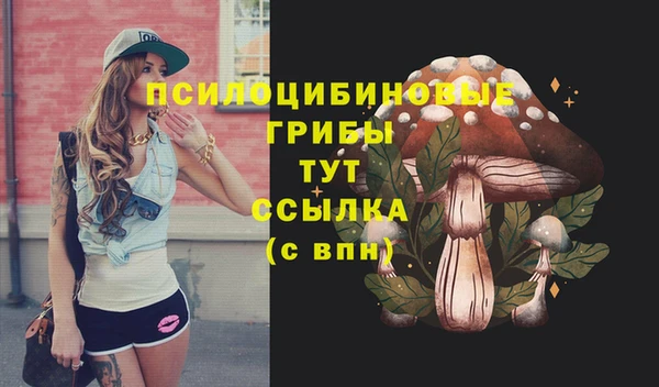 mix Богородск