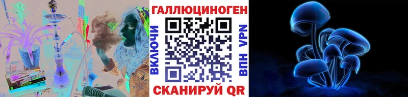 Псилоцибиновые грибы Psilocybe  купить наркоту  Медногорск 